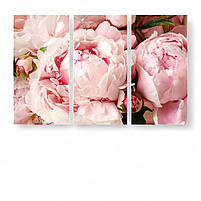 Модульна картина «Ніжні рожеві півонії» Триптих на полотні 90х60 см Стильний настінний декор для інтер’єру, фото 2