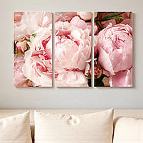 Модульна картина «Ніжні рожеві півонії» Триптих на полотні 90х60 см Стильний настінний декор для інтер’єру, фото 3