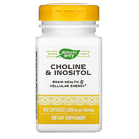 Холін та інозитол, 1000 мг, Choline & Inositol, Nature's Way, 100 капсул