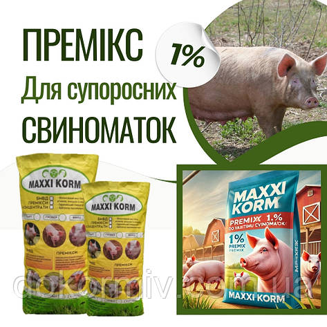 Премікс 1% для поросних свиноматок 25 кг (Швеція), фото 1