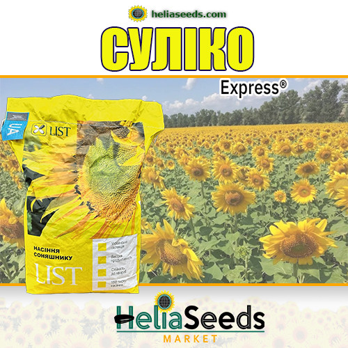 Гібрид соняшнику  під Гранстар СУЛІКО посівне насіння, фото 1
