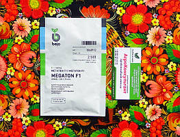 Насіння капусти Мегатон F1 (Bejo Zaden), 2 500 насінин — середньостигла (100-110 днів), білокачанна