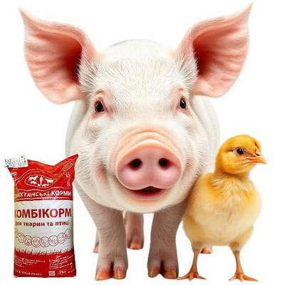 Комбікорм, премікс, БМВД, кормові добавки