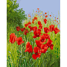 Картина за номерами Макове поле Strateg 40х50см. (GS1471)
