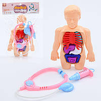Набір лікаря з анатомічною фігуркою 21,5 см та медичними інструментами
