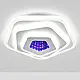 Світлодіодний стельовий світильник 24 см  з об'ємним 3D-підсвічуванням 46+5W  білий 226121/240, фото 2