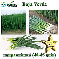Цибуля Байа Верде / Baja Verde, Seminis (Нідерланди), 100 000 насінин