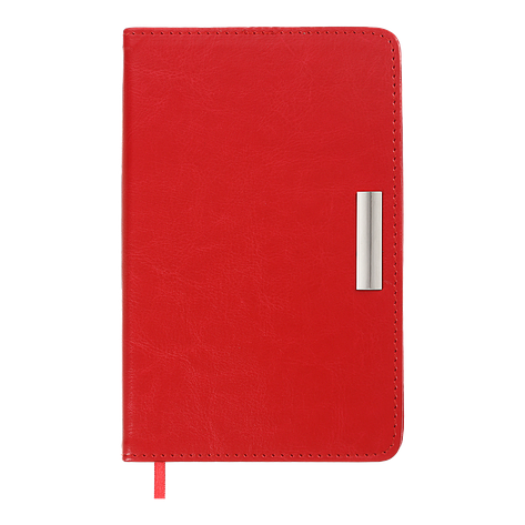 Щоденник данин 2024 SALERNO A6 червоний іскря, фото 1