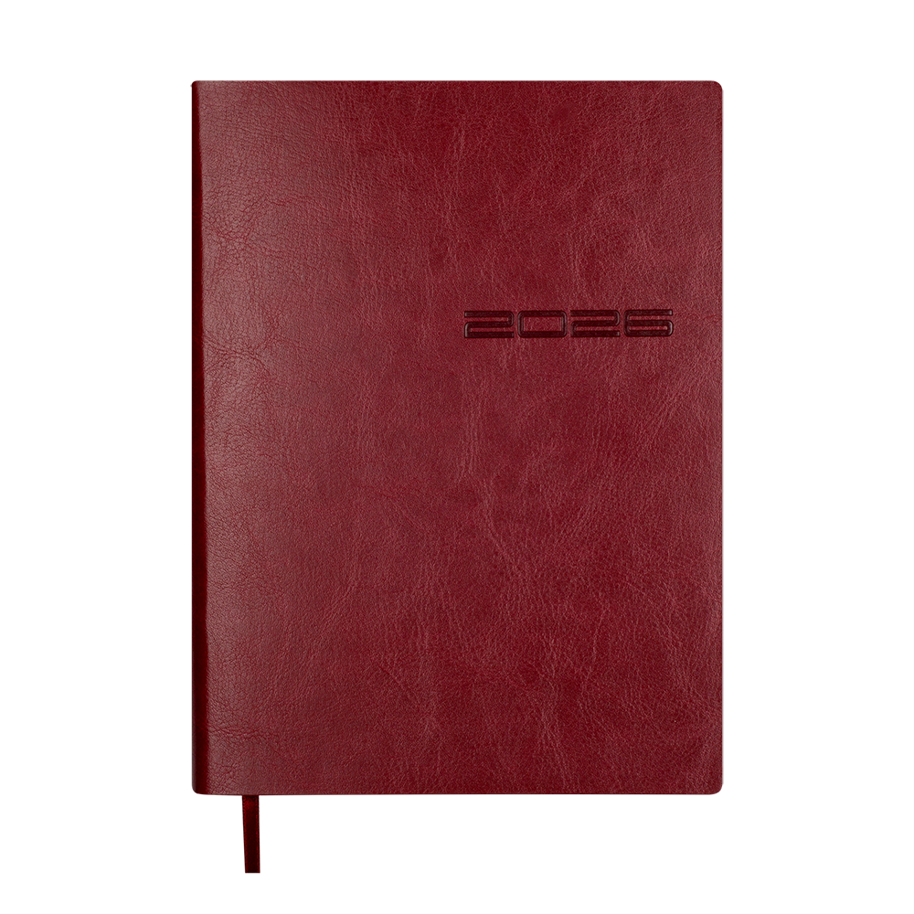 Щоденник данир 2024 IDEAL A5 червоний скрожа