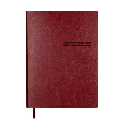 Щоденник данир 2024 IDEAL A5 червоний скрожа, фото 1