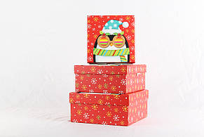 Коробки подарункові набір 3шт вкладені 1в1  розмір найбільшої 20х20х95см із 3D зображенням BM2