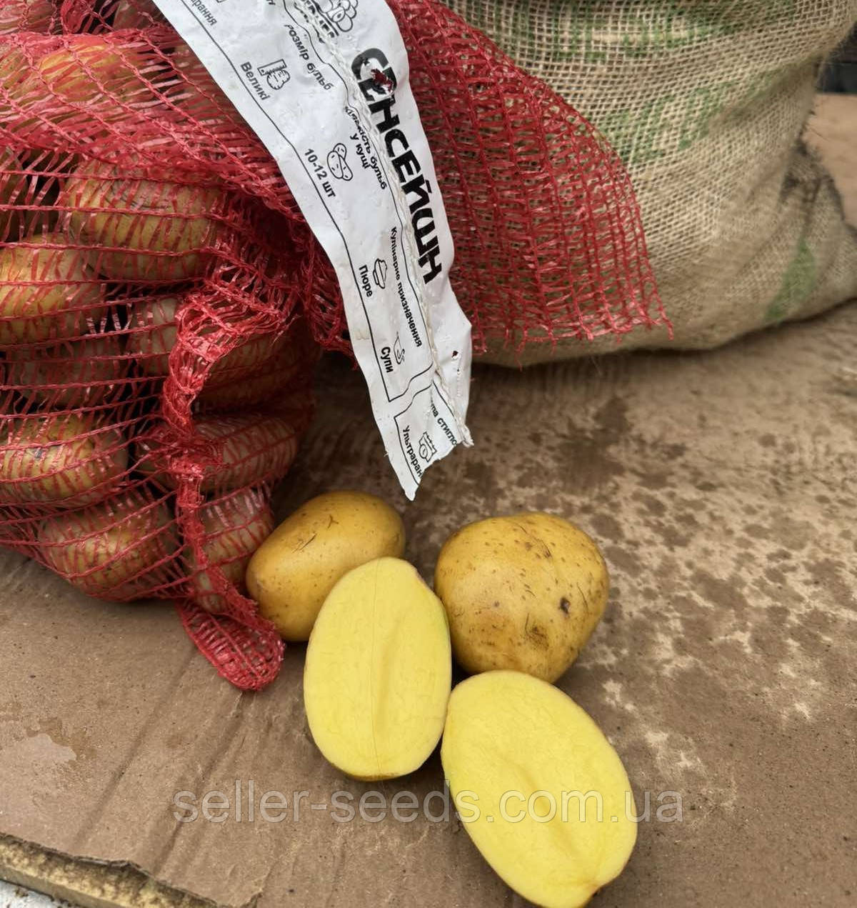 Картопля "Сенсейшн" насіннєва (1 Репродукція) 5 кг, фото 1