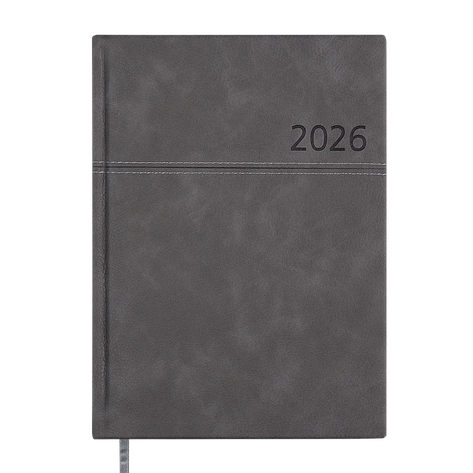 Щоденник данин 2024 ORION A5 сірий скрокожа/поролон, фото 1