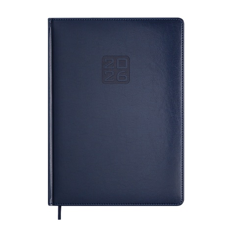 Щоденник данин 2024 BRAVO A4 синій скрожа/поролон, фото 1