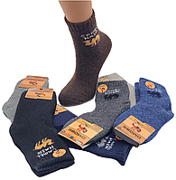 Дитячі шерстяні шкарпетки з махрою DMDBS - 33.00 грн./пара (C603)