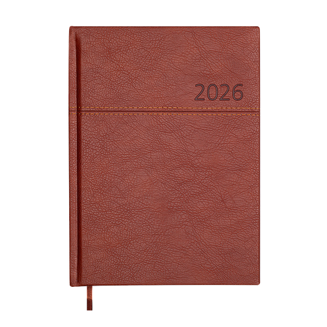 Щоденник данин 2024 ORION A5 свіжий іскрізно-поролон, фото 1