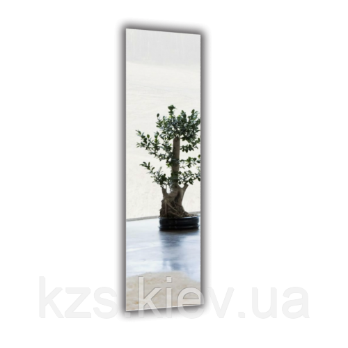 Дзеркало прямокутне з полірованим краєм 900х250мм, фото 1