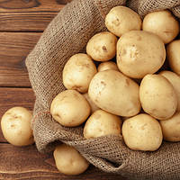 Насіннєва картопля Рів’єра (1 Репродукція) 5 кг