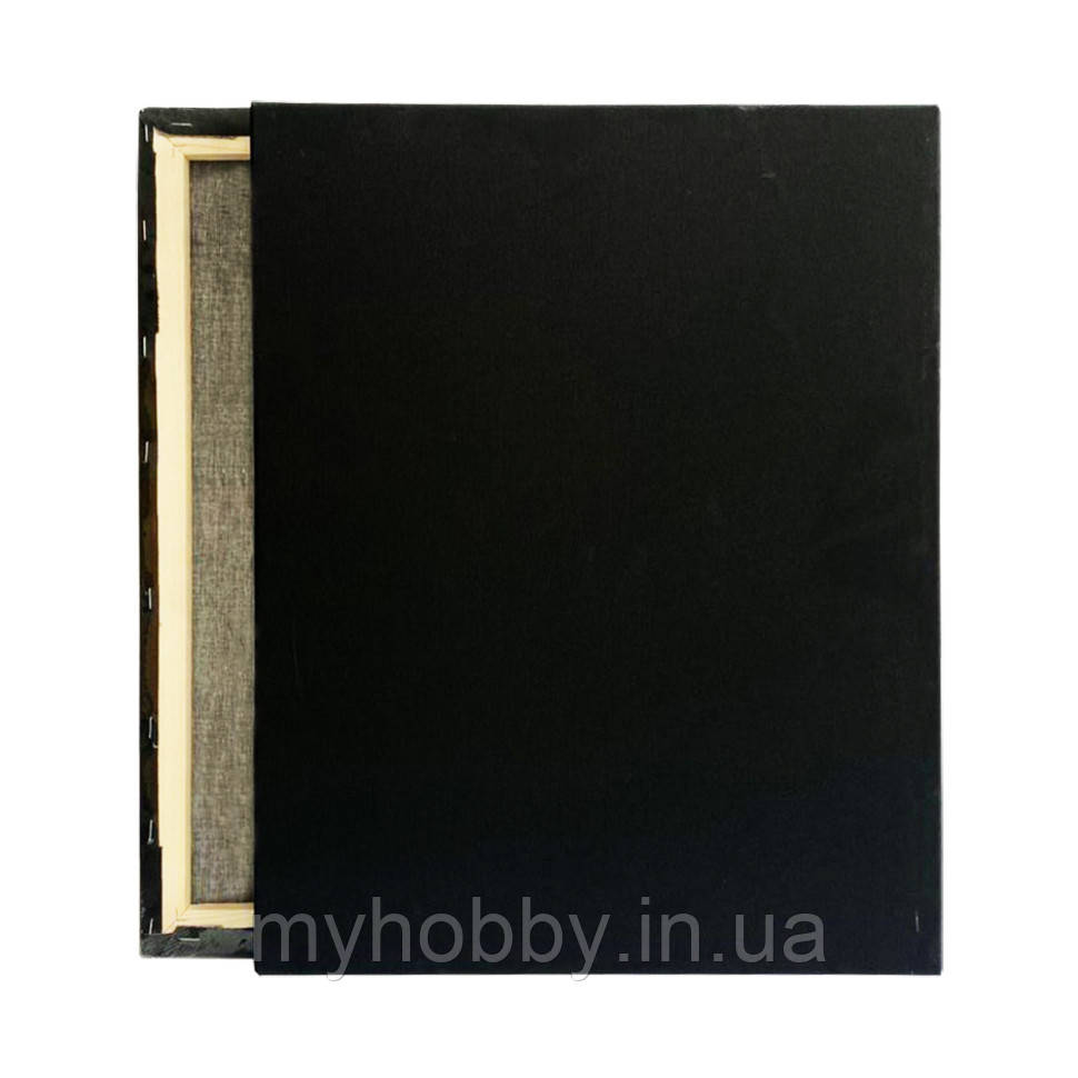 Полотно на підрамнику чорне 40*30см, фото 1