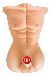 Торси та півторси