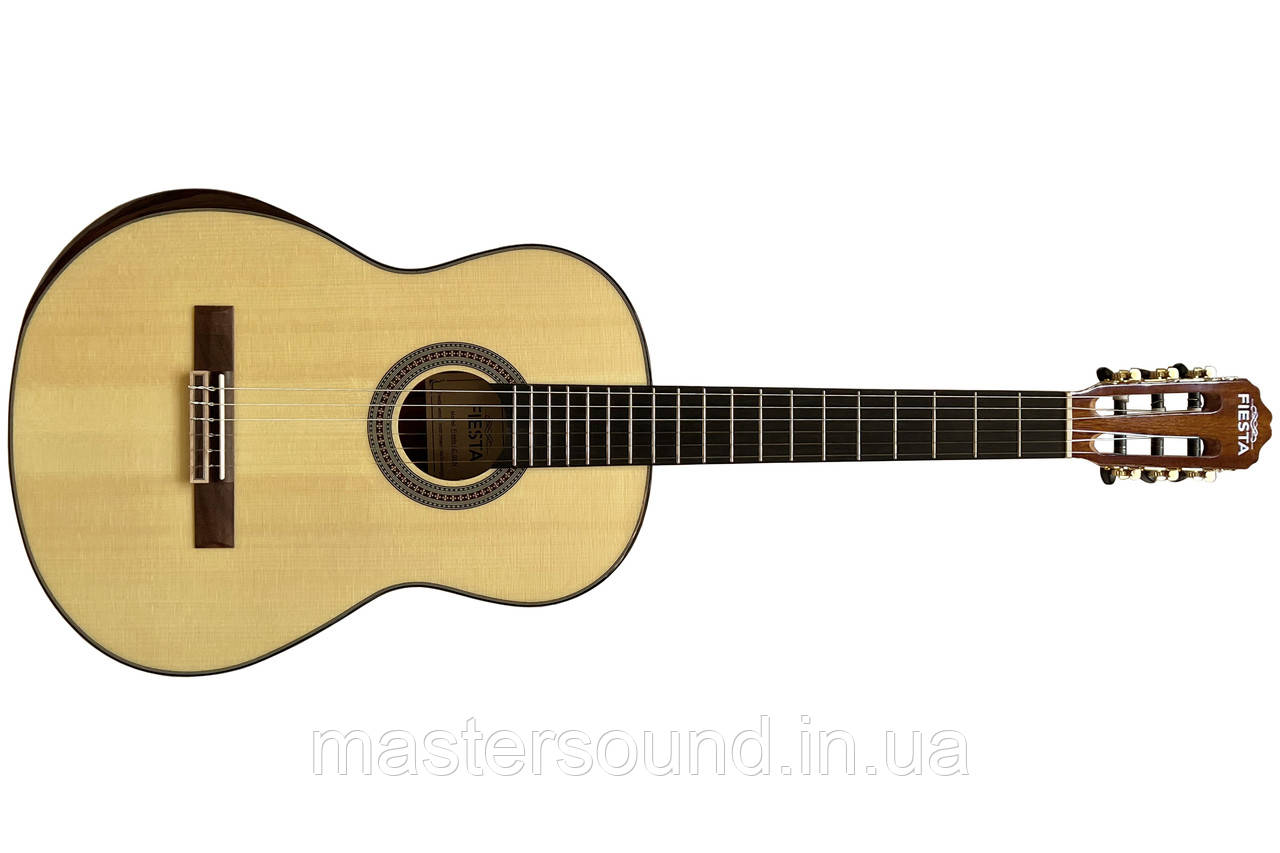 Класична гітара Fiesta AC-02, фото 1