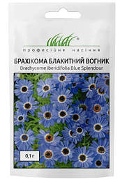 Насіння квітів