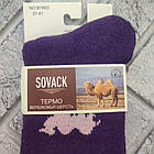 Шкарпетки жіночі високі зимові вовняні з махрою р.37-41верблюд асорті SOVACK 30039583, фото 3