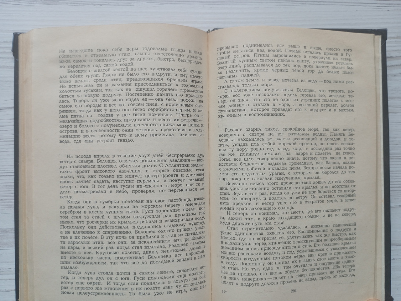 Product image preview