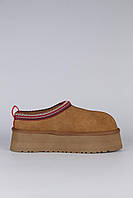 Уггі Ugg Tasman Platform Chestnut (36-41), Замша