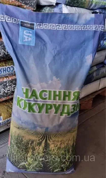 Насіння кукурудзи ДБ Хотин