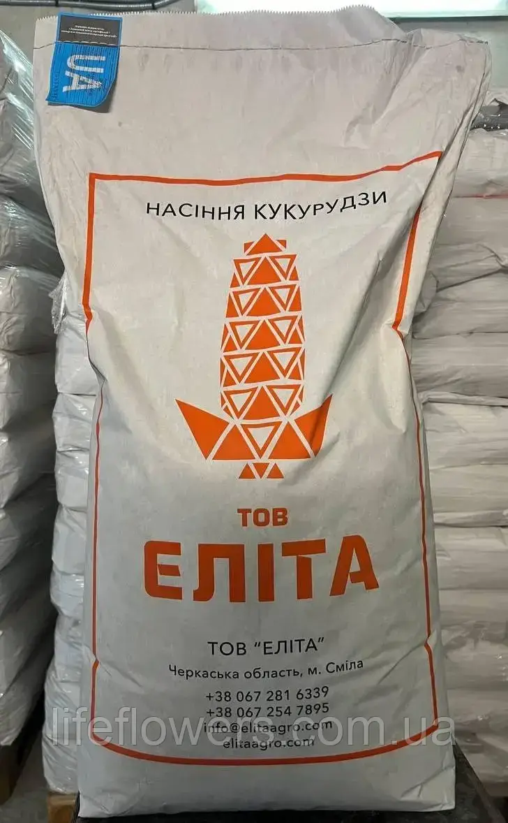 Насіння кукурудзи Фієста  (ФАО 260)