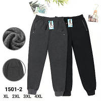 Штани спортивні чоловічі на хутрі (Розміри: 50-56) "Трикотаж Хух"