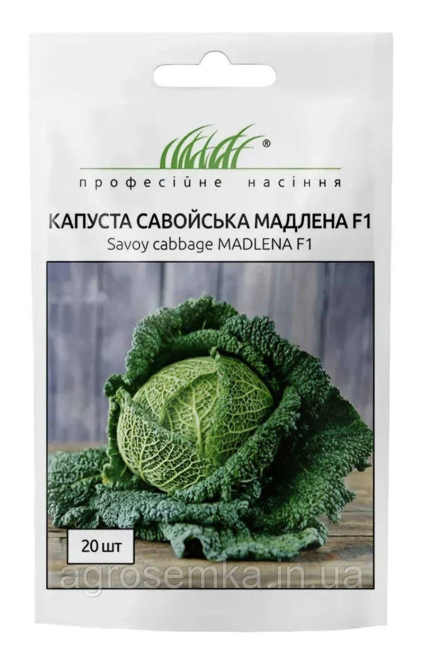 Савойська капуста Мадлена 20шт /  Rijk Zwaan, фото 1