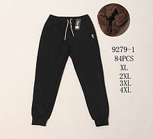 Штани спортивні чоловічі на хутрі (Розміри: 50-56) "Трикотаж Хух"