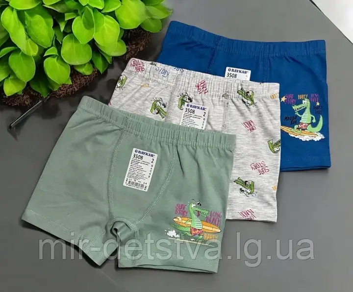 Дитяча білизна для хлопчиків, Туреччина. Боксерки для хлопчиків TM Baykar оптом р.2 (110-116 см)