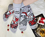 Жіночі шкарпетки махрові новорічні з бавовни НЛ асорті конячок, фото 2