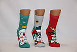 Женские носки махровые новогодние JNLEP 36-39 к-8 сніговик з бокалом,собачка,SANTA в окулярах, фото 3