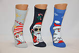 Жіночі шкарпетки махрові новорічні JNLEP 36-39 к-7 кет, гном, Santa НОВА, фото 3