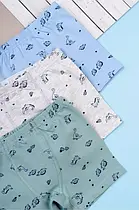 Дитяча білизна для хлопчиків, Туреччина. Боксерки для хлопчиків TM Baykar оптом р.0 (86-92 см)