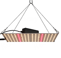 Фітолампа Quantum Board (LM281B)  50-70W