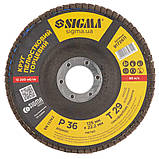 Круг пелюстковий торцевий Т29 (конічний) Ø 125 мм P36 SIGMA (9172611), фото 2
