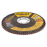 Круг пелюстковий торцевий Т29 (конічний) Ø 125 мм P36 SIGMA (9172611), фото 3