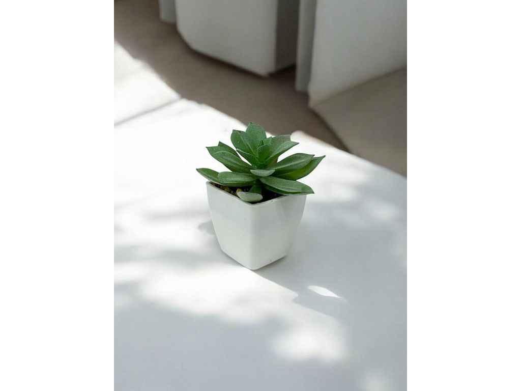 Штучний міні-сукулент в горщику м.146-7/9 8см ТМ SP, фото 1