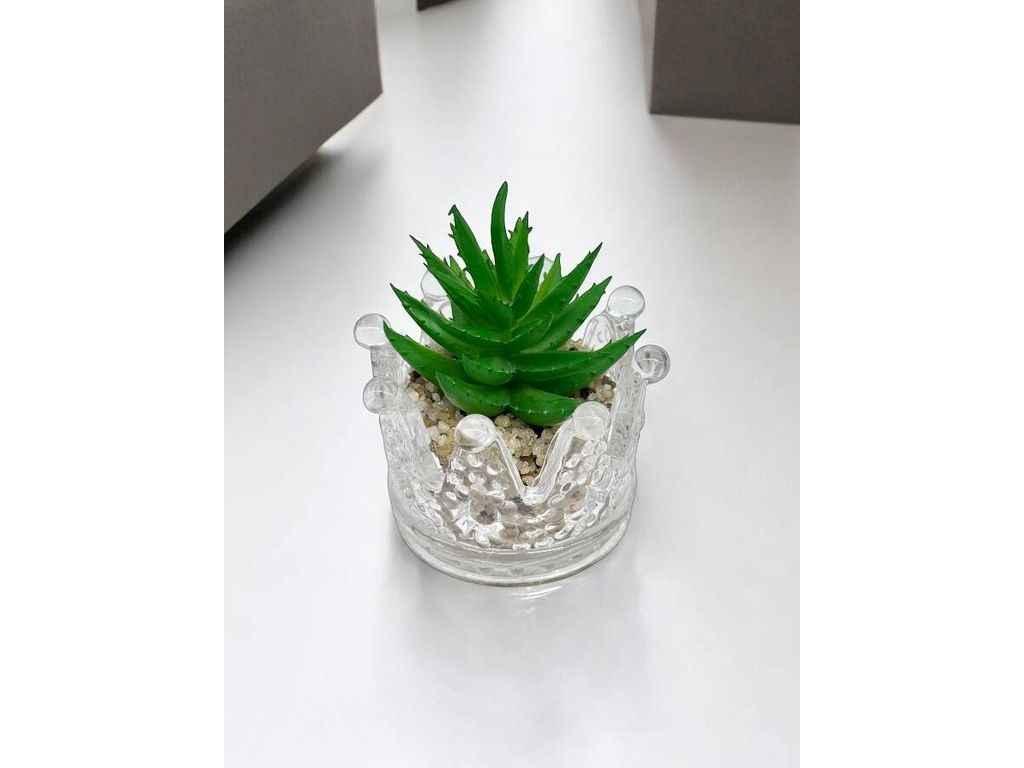 Штучний міні-сукулент в горщику м.KC-69/4 прозорий ТМ SP, фото 1