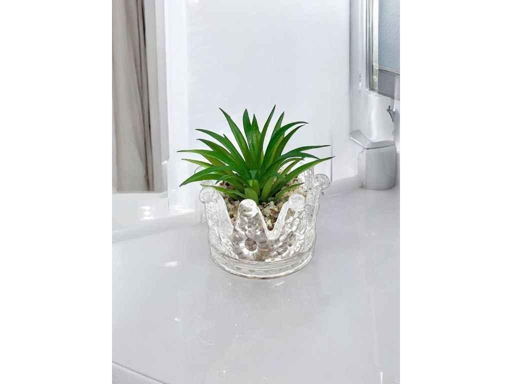 Штучний міні-сукулент в горщику м.KC-69/5 прозорий ТМ SP, фото 1