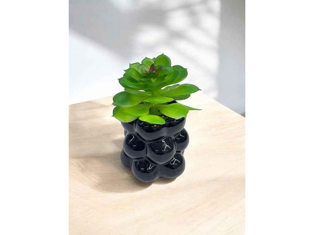 Штучний міні-сукулент в горщику м.KC-72/1 чорний ТМ SP, фото 1