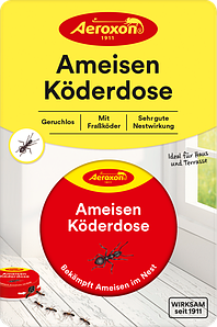 Комахи в будинку