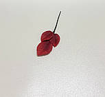 Гілка листя червоного, фото 2