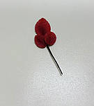 Гілка листя червоного, фото 3