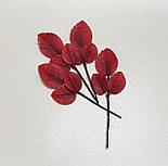 Гілка листя червоного, фото 4